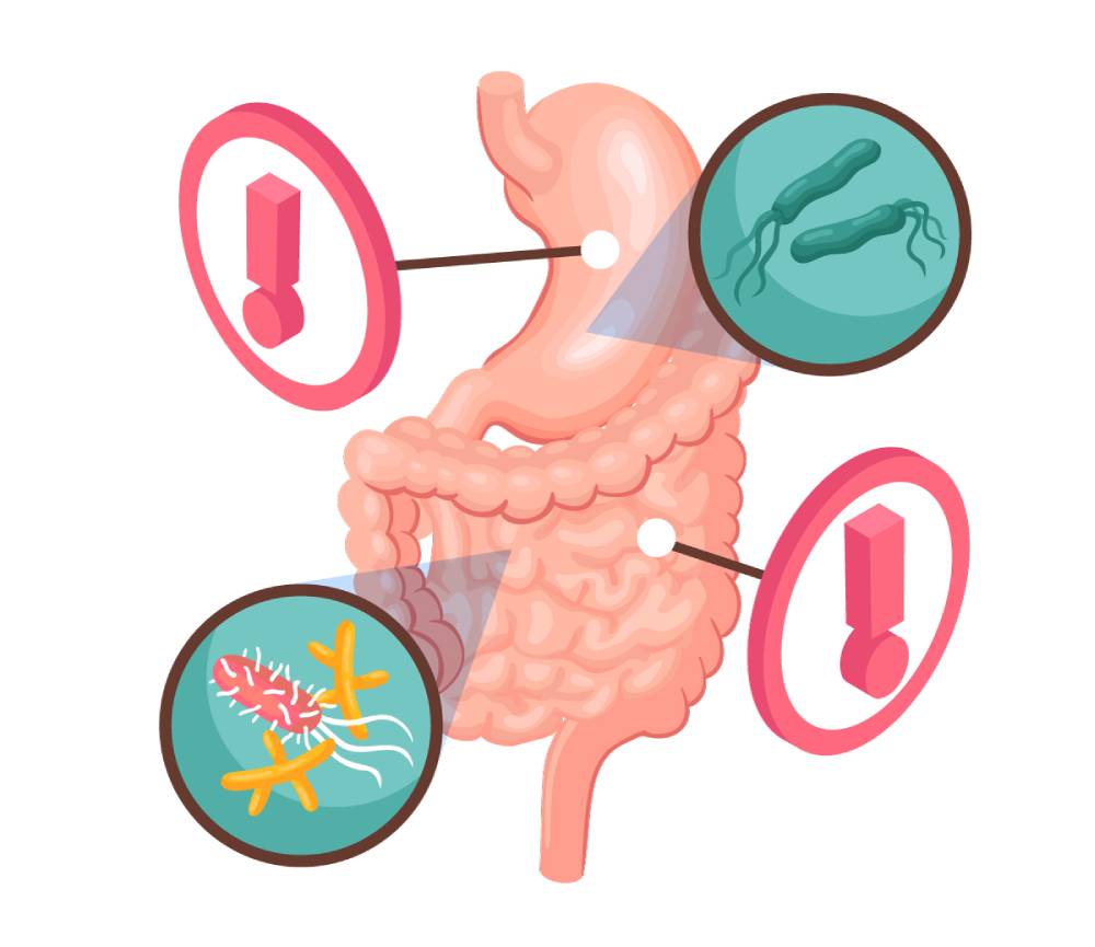 Thực trị liệu là gì?