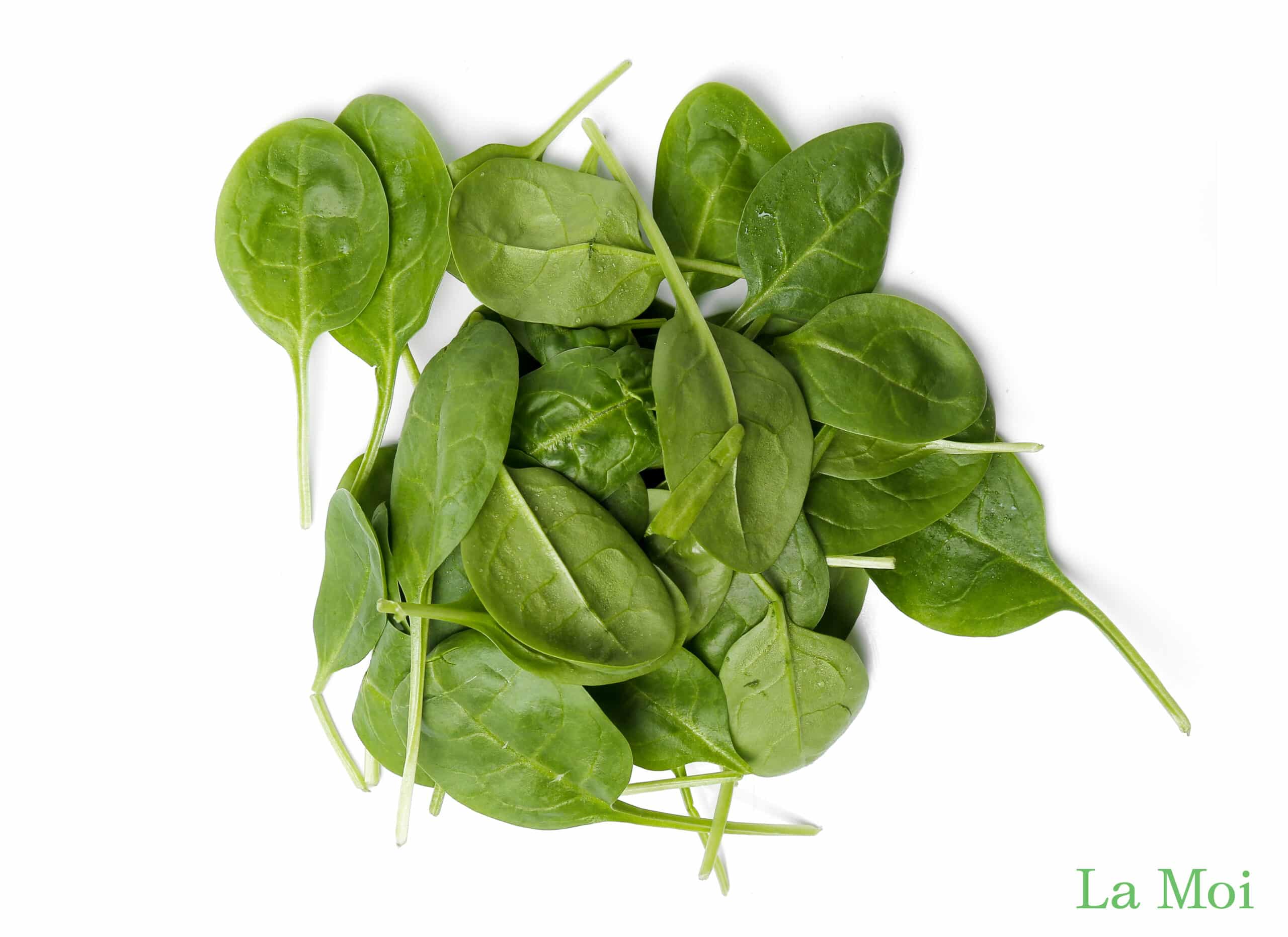 Canxi trong mồng tơi hỗ trợ xương phát triển