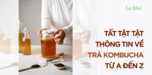 Tất tật tật thông tin về trà kombucha từ A đến Z