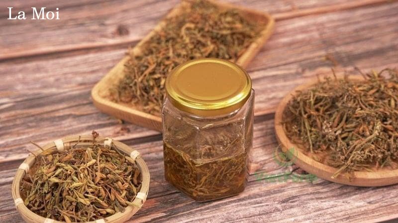 Tác dụng thần kỳ của hoa đu đủ đực